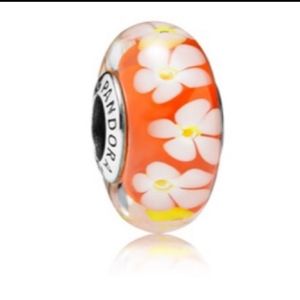 Retired Pandora Charm